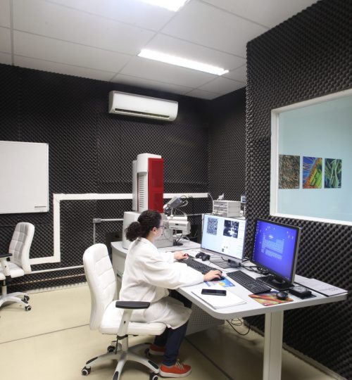 Foto do FEG-SEM com nanolitografia do Laboratório de imageamento em micro-nanoeletrônica do CTI-Nano