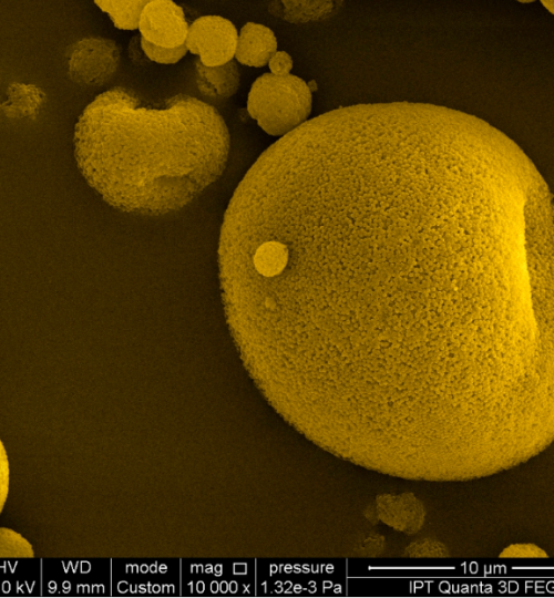 Micropartículas poliméricas nanoestruturadas obtidas por spray drying